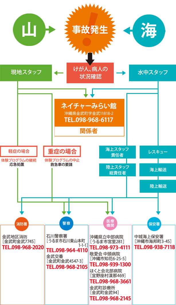 緊急連絡先チャート