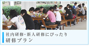 社内研修・新人研修にぴったり　研修プラン