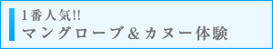1番人気!!マングローブ＆カヌー体験