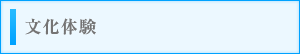 文化体験