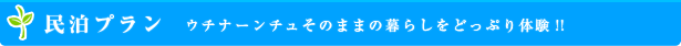 民泊プラン  ウチナーンチュそのままの暮らしを民泊を通してどっぷり体験!!
