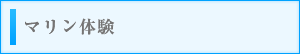 マリン体験