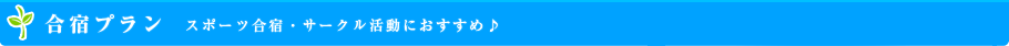 合宿プラン  スポーツ合宿・サークル活動におすすめ♪