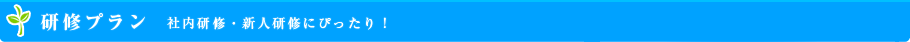 研修プラン  社内研修・新人研修にぴったり！