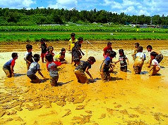 お泊り保育プラン”