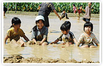 お泊り保育プラン