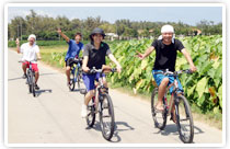 修学旅行プラン